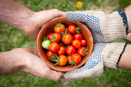 Why-Canada-must-boost-food-production