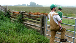 Farmers-grow-partnerships-to-bolster-agricultural-sector
