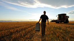 Carbon-taxes-driving-food-prices-higher