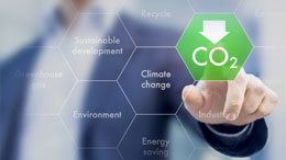 Food-policy-hijacked-by-pro-carbon-tax-mob