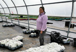 Migrant-workers-mark-a-bitter-Mothers-Day