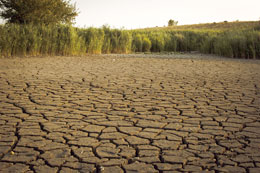Heatwaves-scorch-Asia-as-region-braces-for-El-Nino