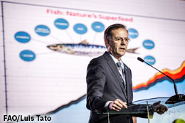 The-ocean-is-not-an-aquarium-says-UN