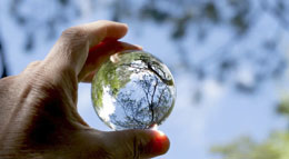UN-agencys-report-distorts-climate-science