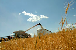 Why-arent-food-prices-dropping
