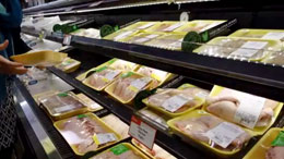 Ideology-shouldnt-push-plastic-ban-agenda