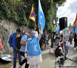 Report-calls-for-action-on-foreign-intimidation