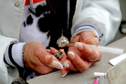 BC-is-crumbling-under-permissive-drug-policies
