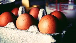 Canada-should-scrap-food-supply-management-policies