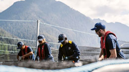 Ocean-salmon-farming-ban,-a-net-loss-for-BC