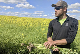 China-targets-Canadas-canola-farmers-in-EV-war