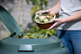 Food-waste-epidemic-needs-a-wake-up-call