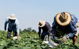 I-did-not-expect-to-be-a-slave-here