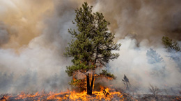 Fewer-Canadians-view-climate-change-as-threat