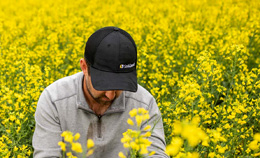 Food-producers-paying-the-price-in-trade-war